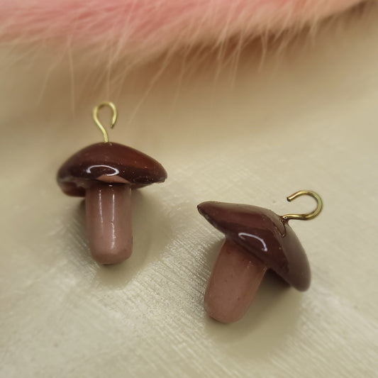 Cèpe 🍄