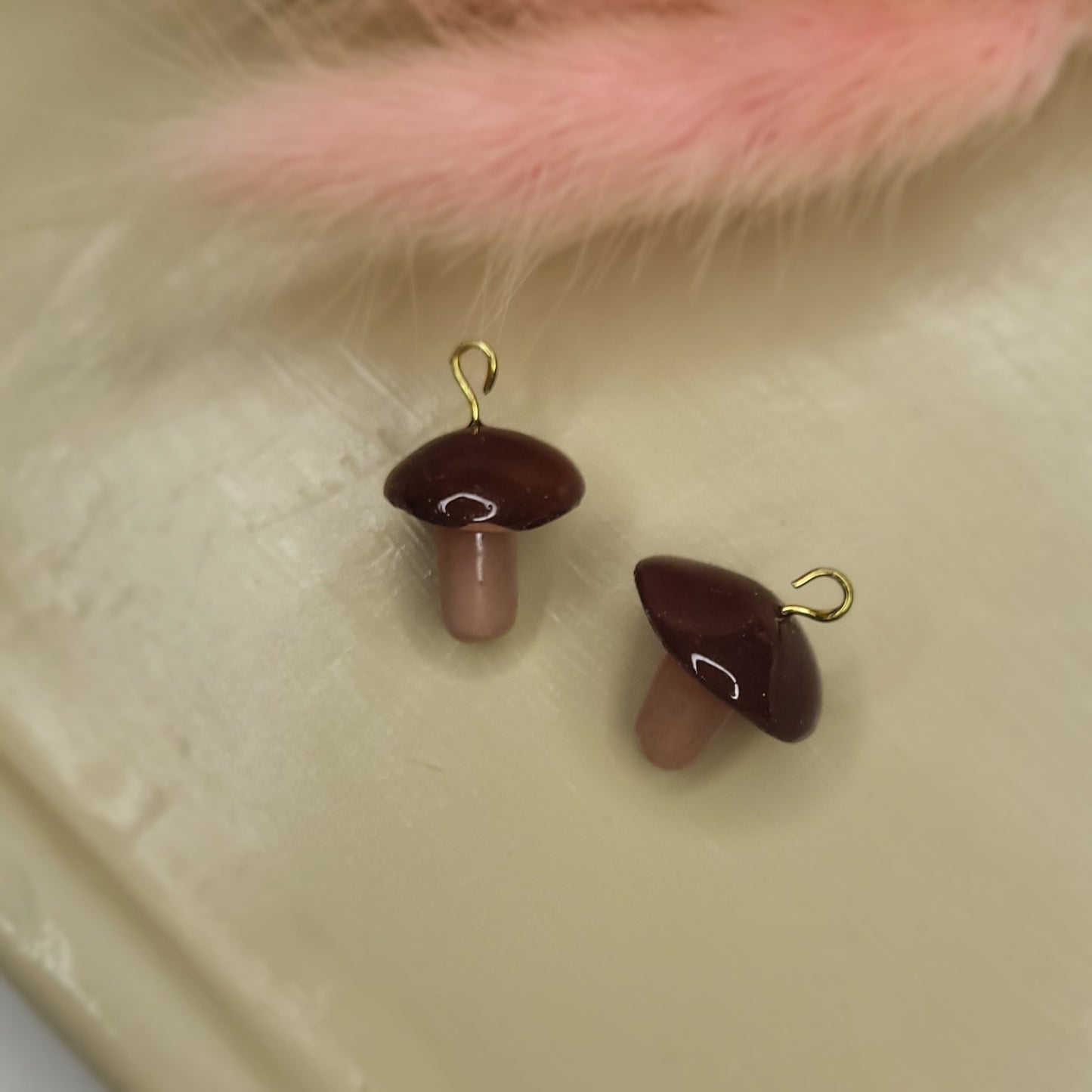 Cèpe 🍄